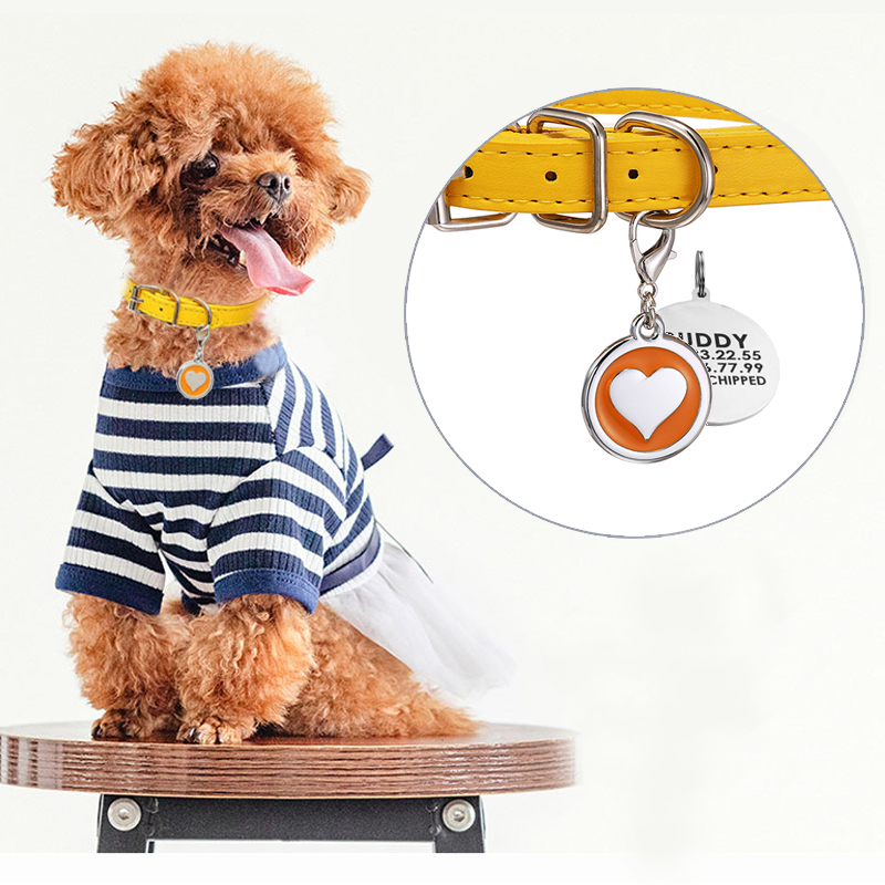 Pet Supplies Login - 犬と猫のための革の首輪,金属ラベル,レーザータグ,ペット用品