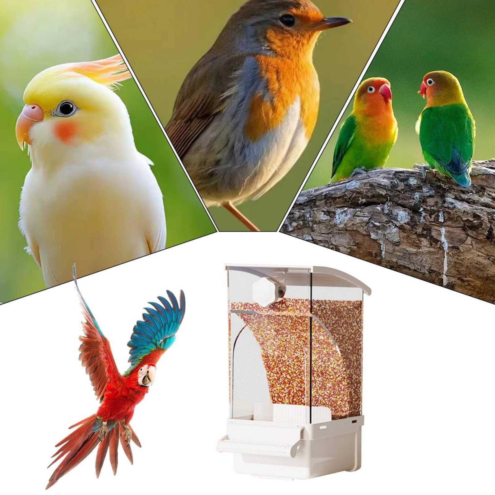 Automatic Pet Feeder - 自動鳥用フィーダー 殻分離式 汚れのない鳥用フィーダー 汚れのない容器 大容量 ペット用品
