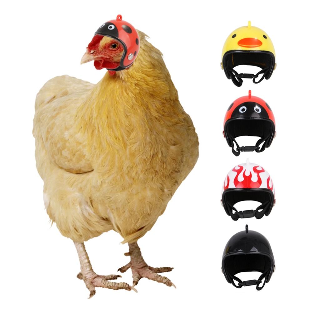 Pet X Supplies & Tack Howell - ABSペット用品 面白いペット用保護ヘッドギア 鳥用保護キャップ 日よけ雨よけ帽子 鶏用ヘルメット