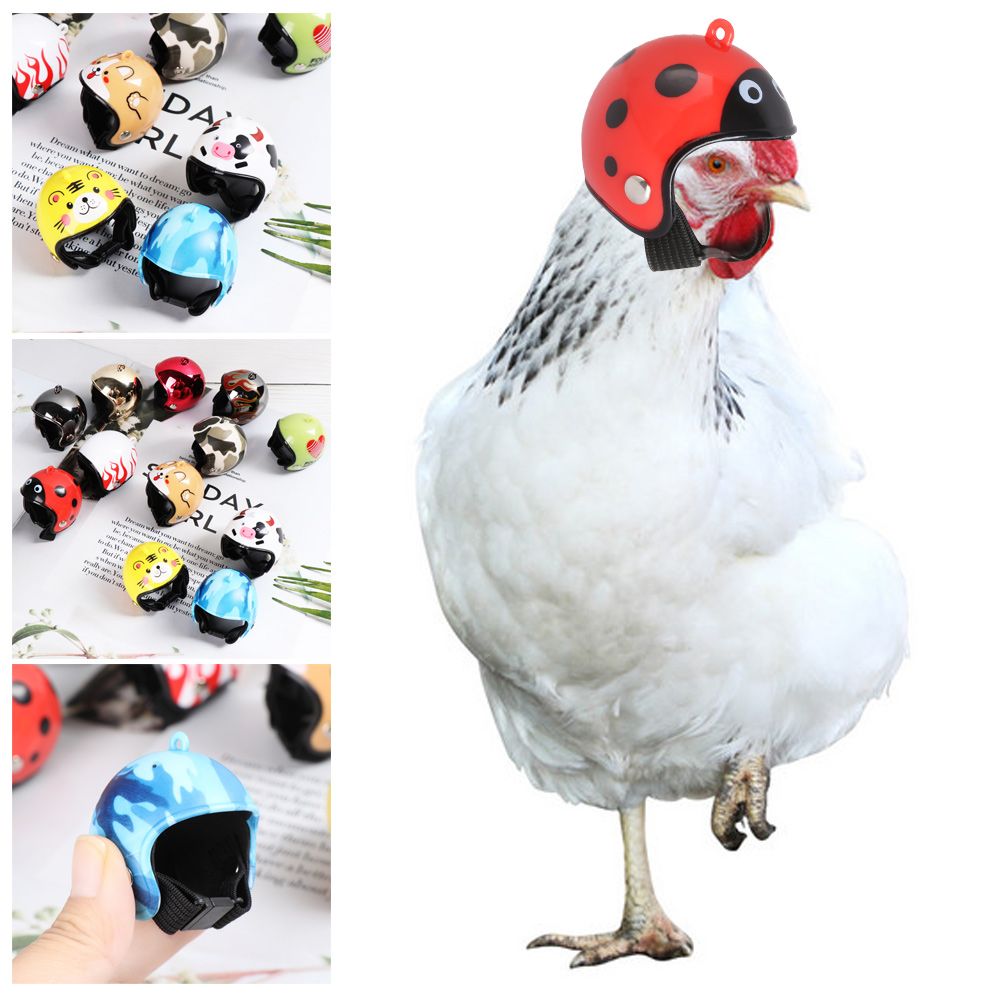 Pet X Supplies & Tack Howell - ABS製面白いペット用品ペット用保護ヘッドギア鳥用保護キャップ鶏用ヘルメット日よけ雨よけ帽子