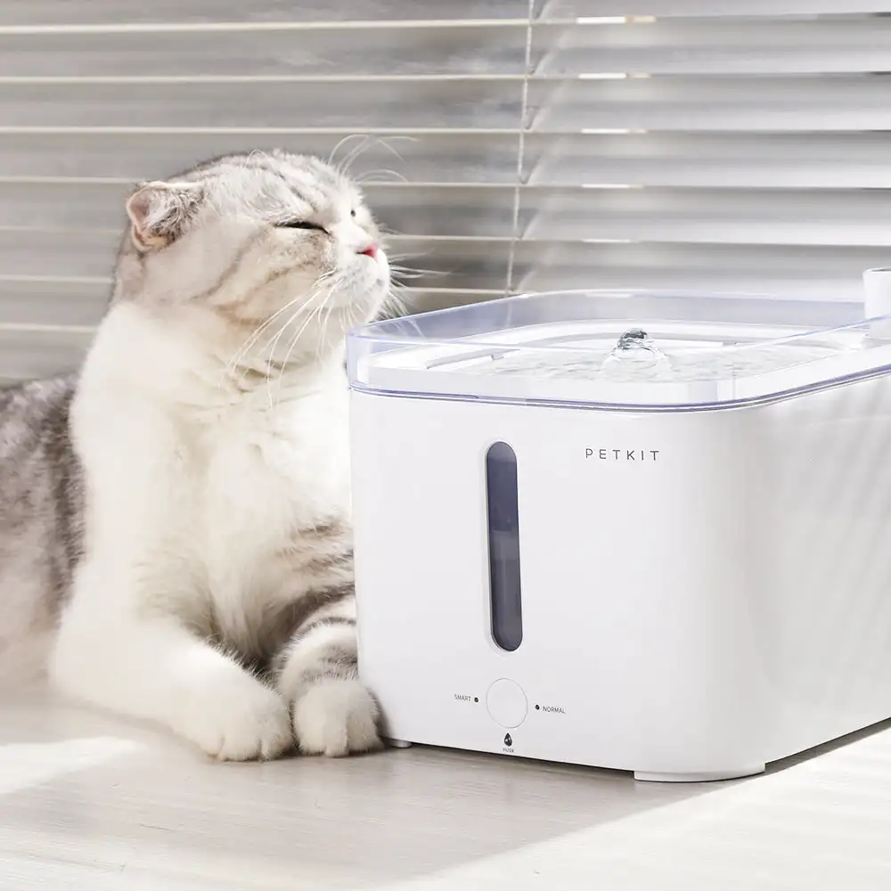 CANBOUN EVERSWEETシリーズ ペットスマートウ - Automatic Pet Feeder のレビューと価格