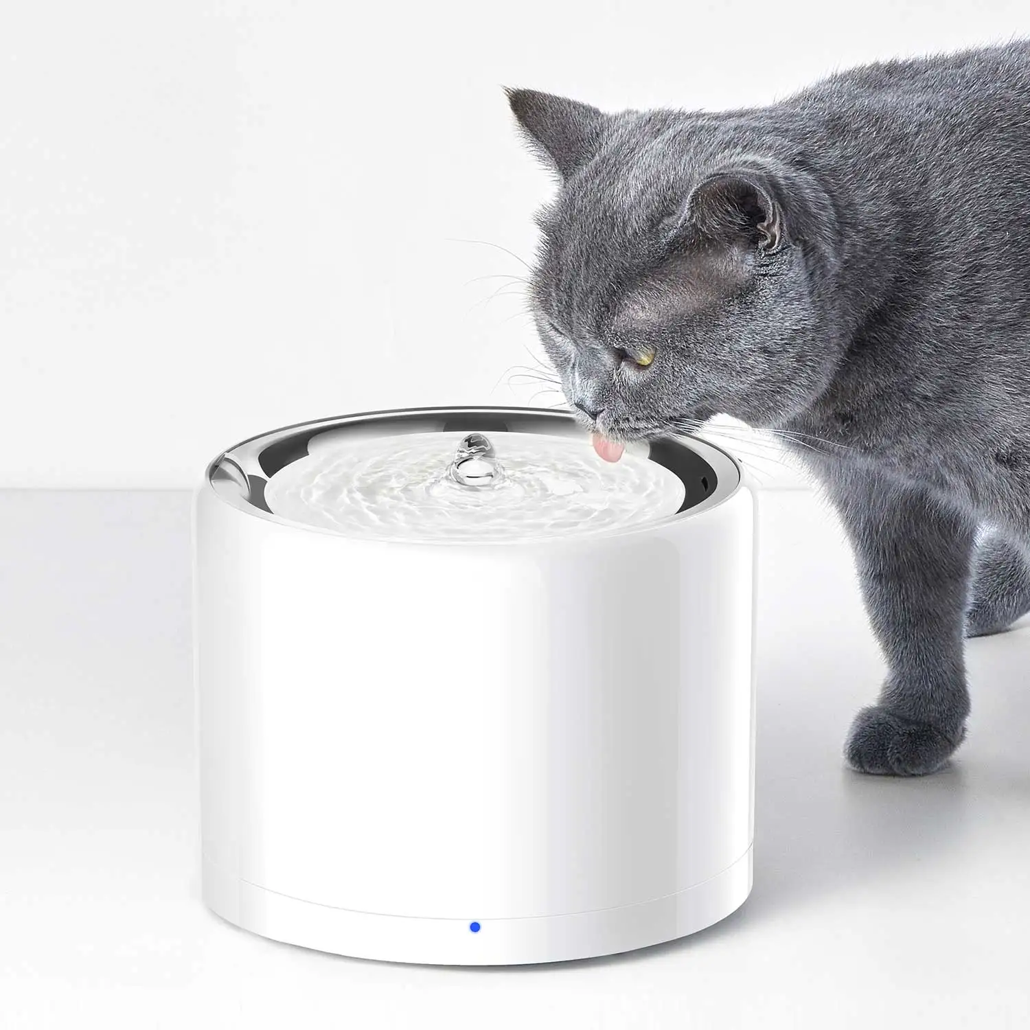CANBOUN EVERSWEETシリーズ ペットスマートウ - Automatic Pet Feeder のレビューと価格