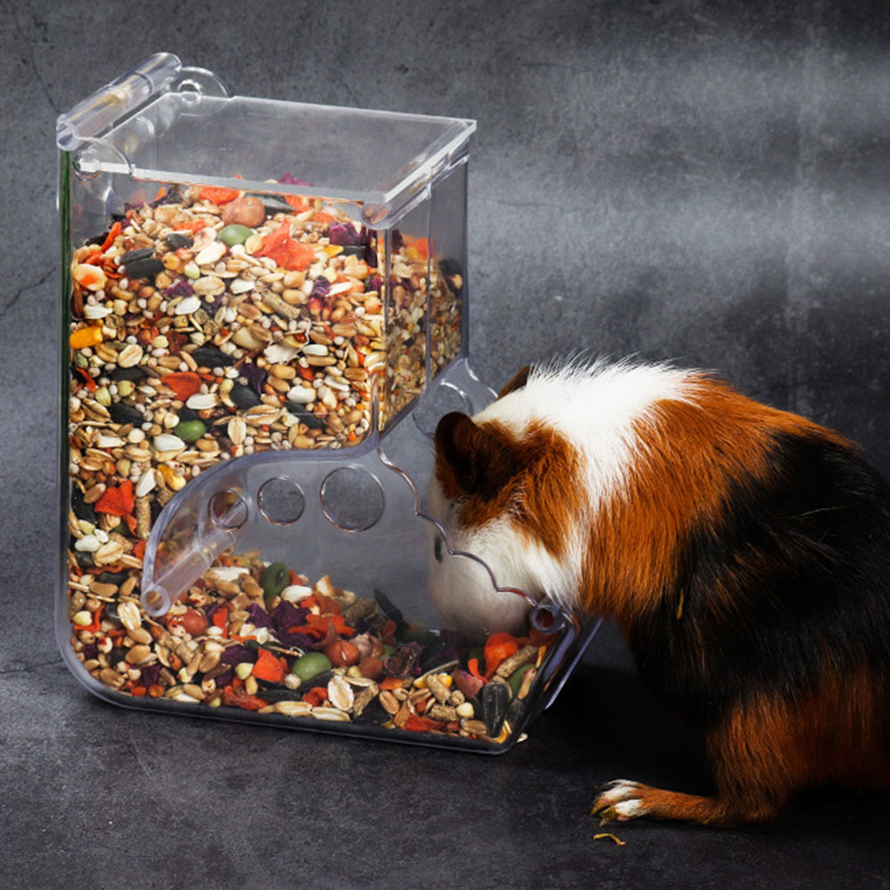    2-1 個かわいいハムスター小動物自動ペットフードフ - Automatic Pet Feeder のレビューと価格