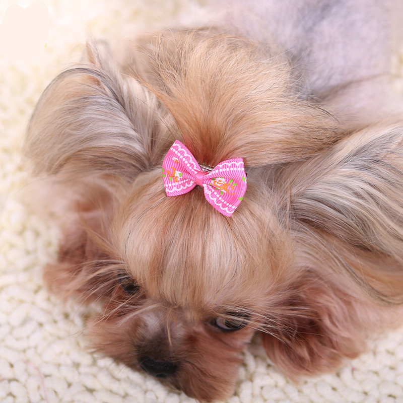 犬のための素敵なヘアクリップ,子猫,かわいい,綿の蝶,花,ウ - Pet Supplies York のレビューと価格