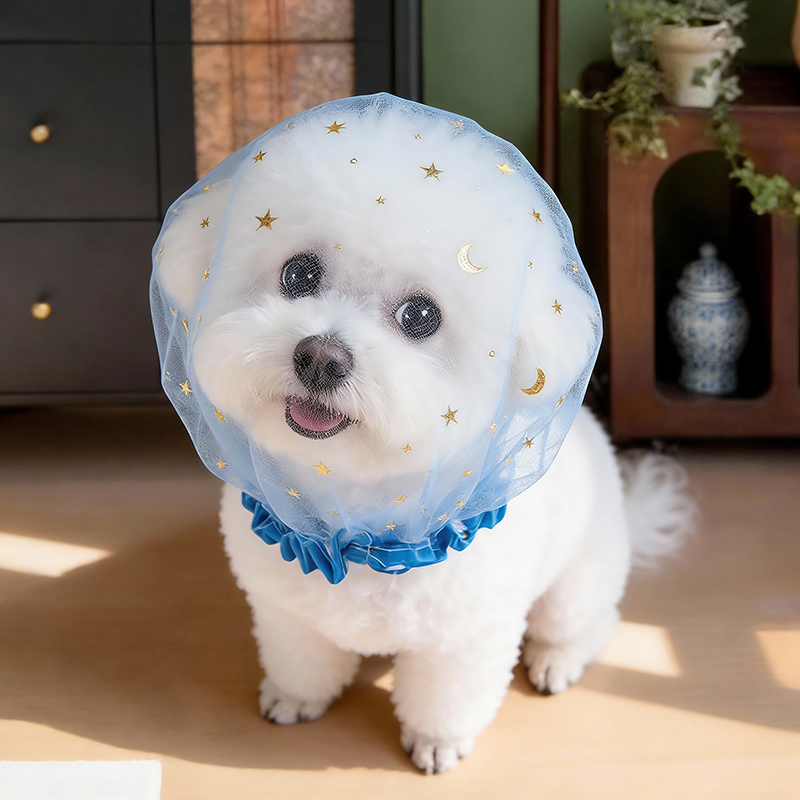 抗吠えサマードッグキャップ屋外弾性透明スパンコール星ペット子 - Pet Supplies York のレビューと価格