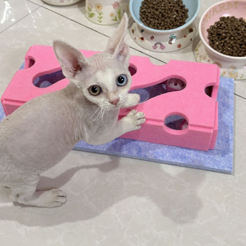 新しい猫用パズルおもちゃ フェルト製おもちゃ箱 迷路トンネル - Cat Tunnel Toy のレビューと価格
