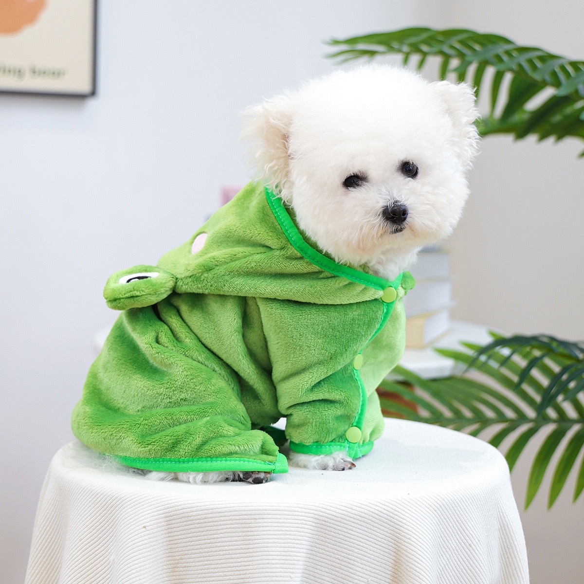 カエルキャップワンピース犬用マントパーカー室内通気性タオル服 - Pet Supplies York のレビューと価格