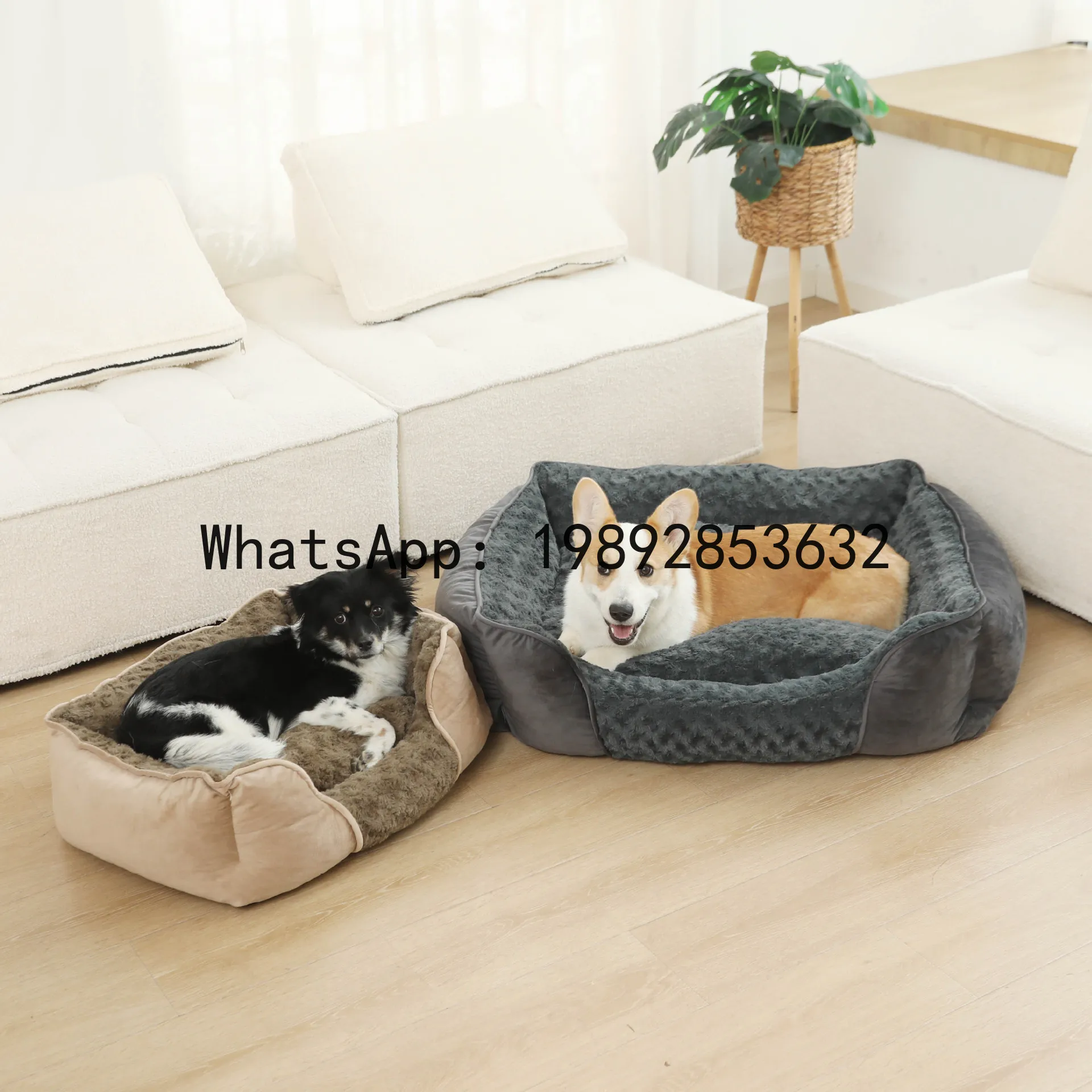 Xキャットハウス半密閉型犬小屋オールシーズンペット用品 - Pet X Supplies & Tack Howell のレビューと価格