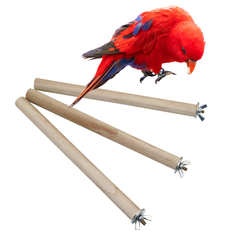 鳥の形をした鳥の形をした鳥の形をしたおもちゃの吊り下げバー, - Pet Supplies Login のレビューと価格