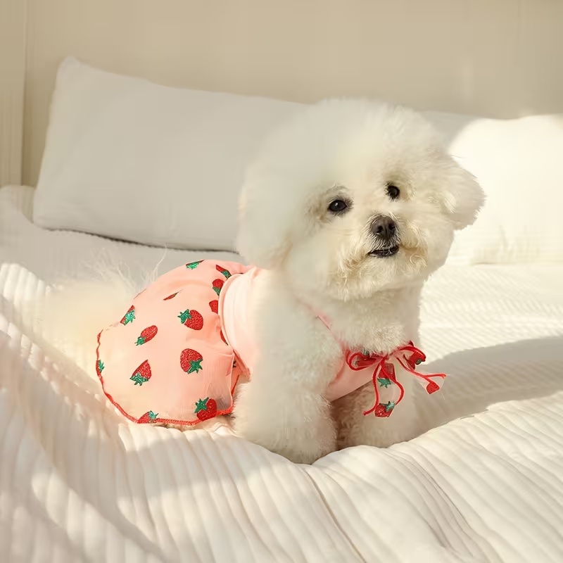 夏薄い子犬プリンセススカート犬服かわいいペット犬ドレス小型犬 - Pet Supplies York のレビューと価格