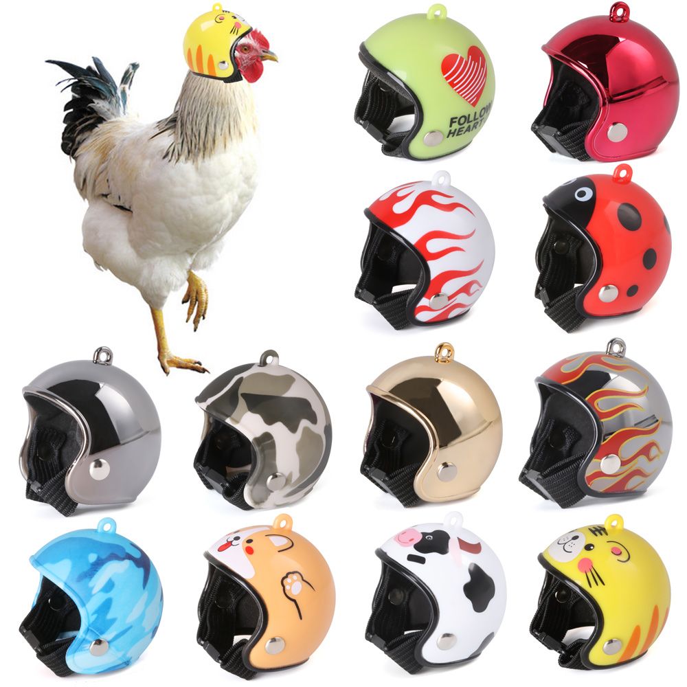 ABSペット用品 面白いペット用保護ヘッドギア 鳥用保護キャ - Pet X Supplies & Tack Howell のレビューと価格
