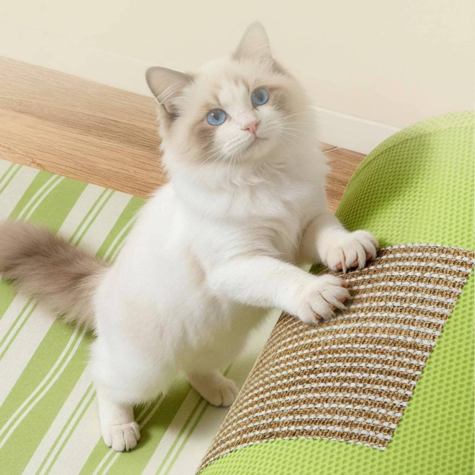 猫用スクラッチャートンネル 吊り下げ式おもちゃ付き 猫用トン - Cat Tunnel Toy のレビューと価格